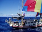 It never struck us how stupid it was to sail up along side a steel monstrosity until we actually did it. Luckily, our agile pony had no problems sailing circles around them.