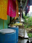 The noni fruit is placed on mesh racks for several days and then put in the blue barrels to further rot. Every household has some sort of copra and noni operation going on, small or large.