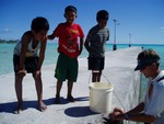 Cleaning the unicorn fish. This atoll had a bad problem with ciguatera and unicorn were some of the few fishes safe to eat. We gave them to Taverio and Tanya.