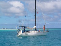 Highlight for Album: Tuamotus Kauehi
