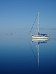 Our first atoll in the Tuamotus, Kauehi, almost gave us a heartattack trying to navigate the pass and the lagoon. Historically known as the driftnet for boats, the Tuamotus has been avoided do to shallow reefs, strong currents and shifty weather. It was our favorite spot. Estrela at anchor on our first morning.