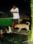 One of the many forms of entertainment during the dinner party. Teipiri, Mana's dad, caught a reef shark with the help of Tequila, the dog. They didn't eat the shark, but let the dog torture it to death.
