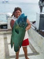 Highlight for Album: Tuamotus Toau
