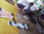 savaii 082 (Large)