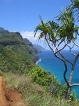 kauhi 049