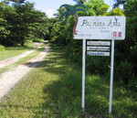 palmr 155