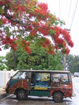 Tongatapu 018