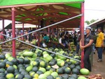 Tongatapu 029