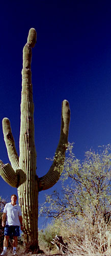 craig in Arizona