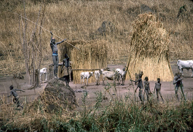 Sudan